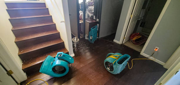 Best Water damage contractors near me  in Midfield, AL