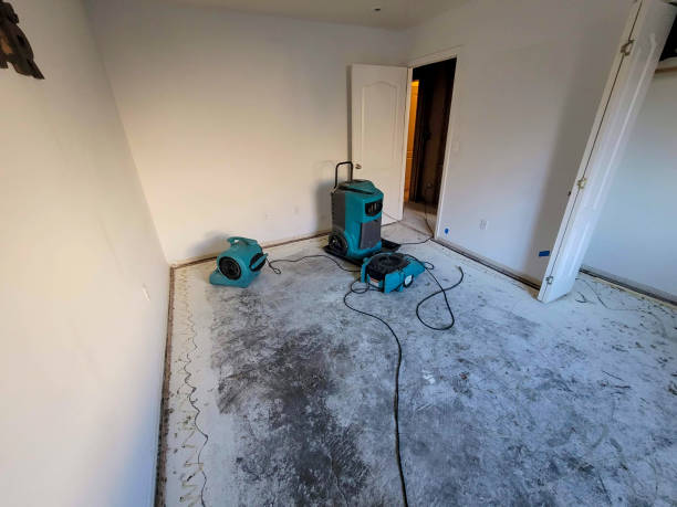 Best Flooded house restoration  in Midfield, AL