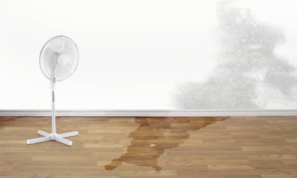 Best 24/7 water damage repair  in Midfield, AL