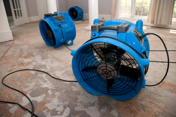 Best Emergency water damage restoration  in Midfield, AL