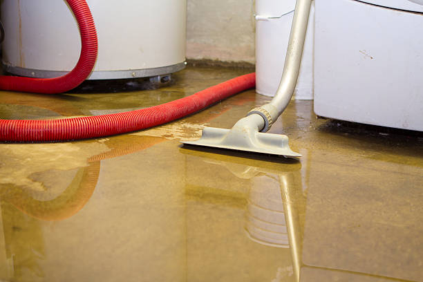 Best Basement water damage restoration  in Midfield, AL