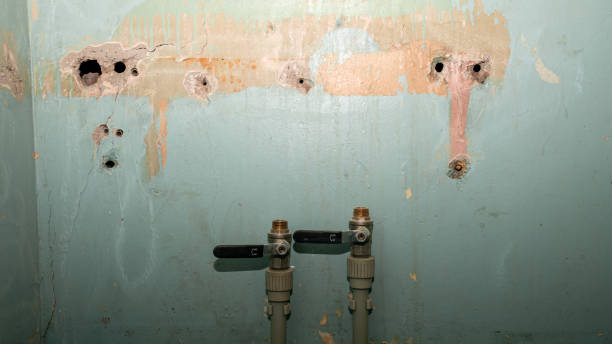 24/7 water damage repair in AL