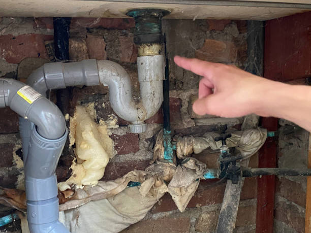 Best Carpet water damage restoration  in Midfield, AL